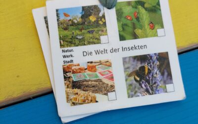 2b Die Welt der Insekten